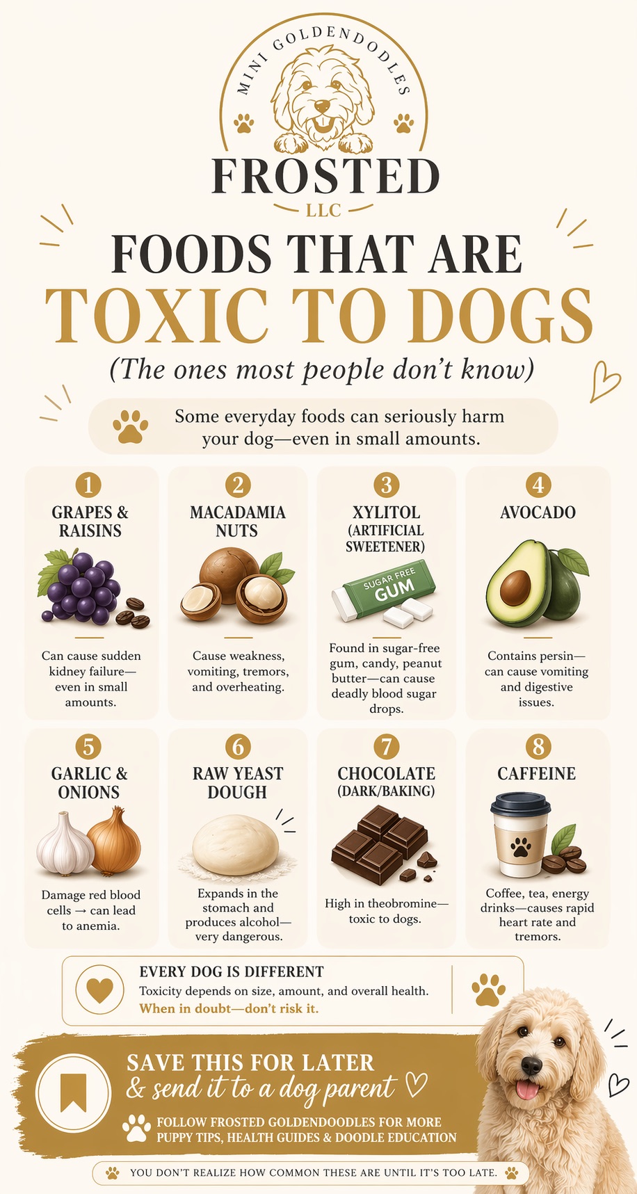 Infographic listing 8 foods toxic to dogs: grapes, macadamia nuts, xylitol, avocado, garlic and onions, raw yeast dough, chocolate, and caffeine