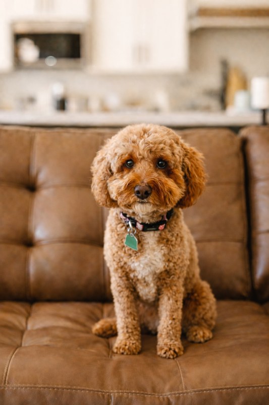 Rosie