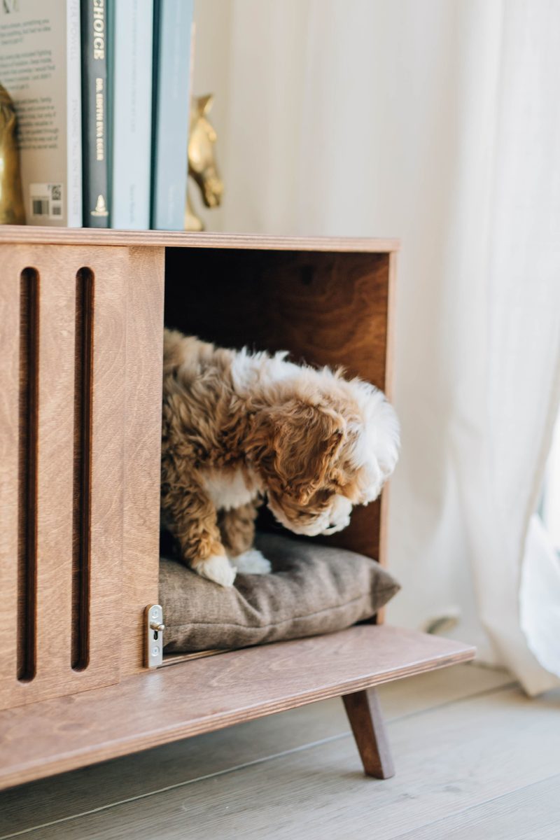 Goldendoodle puppy stepping onto the cushion inside a Kokaa pet house