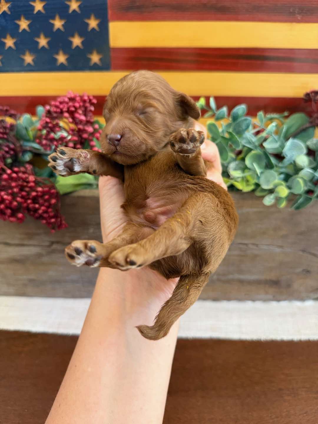 Green 1 week old photo